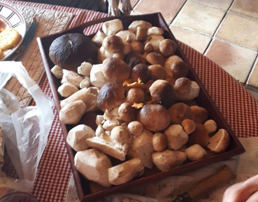 Séjour chez l'habitant D'hôte La Fessille Bed&breackfast Fayet-Ronaye